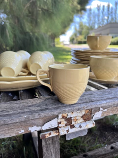 6 Pocillos de Café ~ Loza Inglesa