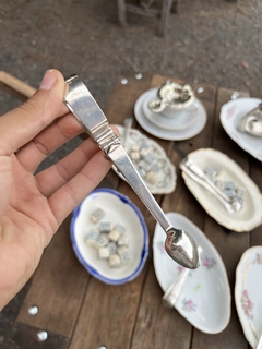 Pinza Terronera en internet