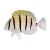 Convict Tang na internet