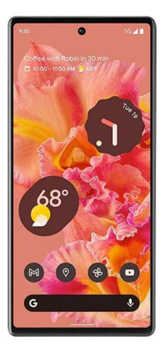 Modulo Pantalla Para Google Pixel 6 Gb7n6 G9s9b16 en internet