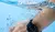 Imagem do Smartwatch Xiaomi Haylou RS3 A Prova Dagua