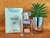 Brand Collection 021 inspiração Coco Mademoiselle - Edp 25 ml - comprar online