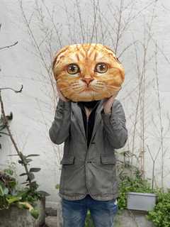Almohadon Gato 3d Decorativo Regalo Original N409 - comprar online