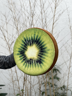 Almohadon Kiwi 3d Asiento Decorativo Regalo Original N204 en internet