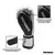 Imagem do Kit Luva Pretorian Elite Boxe Muay Thai + Bandagem + Bucal - Preta e Prata