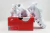 Nike Shox TL White - Afontecompany - Loja Online
