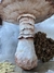 Amanita Muscaria. na internet