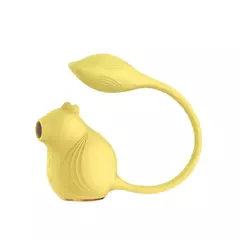 Succionador Ardilla Clitoris Vibrador Usb en internet