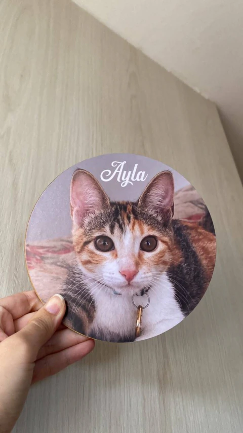 Plaquinha de MDF personalizada com foto