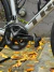 Trek Emonda - JOACO BIKES