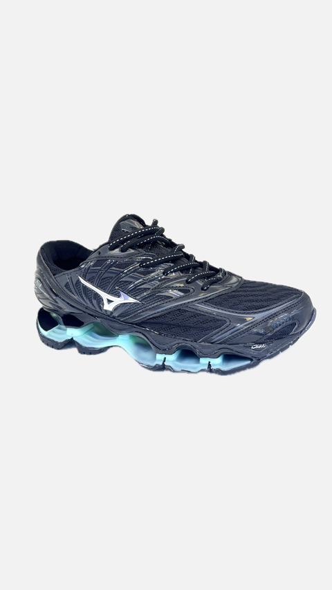Mizuno prophecy 8