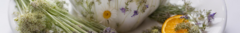 Banner da categoria BELND SOSSEGO