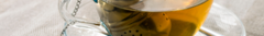 Banner da categoria INFUSORES