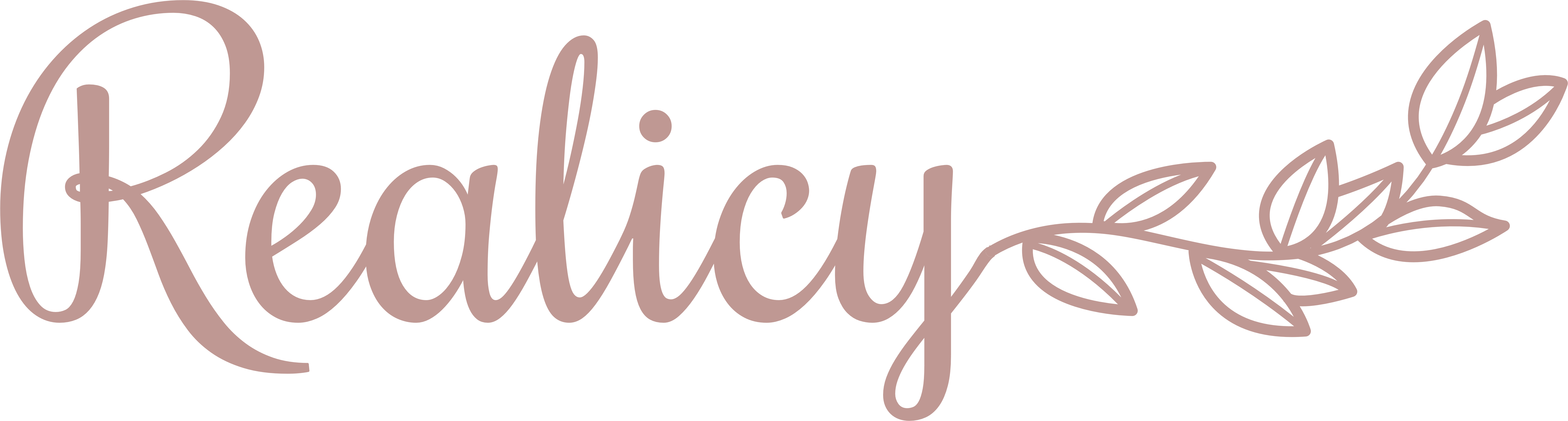 Realicy Store