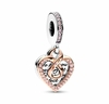 Charm de Medallón Corazón y Rayos