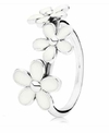 Anillo Herbario Brillante