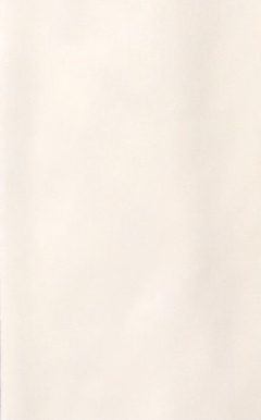 Camiseta lisa - kalon moda