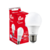 Kit 10 Lâmpada Led 12w Branco Frio 6500k Kian 110V 220V na internet