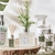 Home Spray Essencia De Alecrim 250ml Greenswet - loja online
