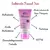 Sabonete Facial Rosa Mosqueta ISIS Resende Makeup
