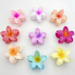 Broche hawaiano por unidad