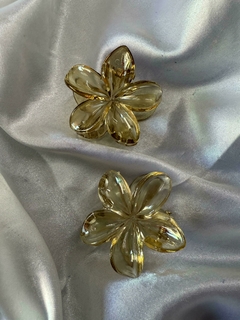 Broches hawaianos x2 mini en internet