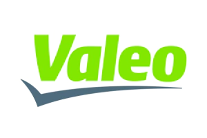 Marca 10 de BMVR REPUESTOS