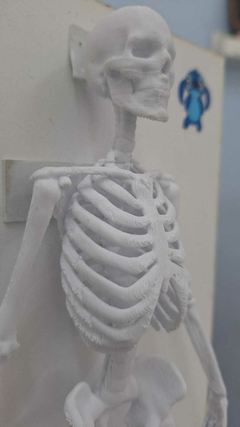 Esqueleto en 3D en internet