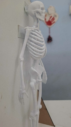 Esqueleto en 3D - Regalo Perfecto