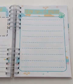 Agenda pediatrica Globo Rose - Regalo Perfecto