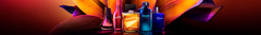 Banner da categoria Perfumaria e Beleza