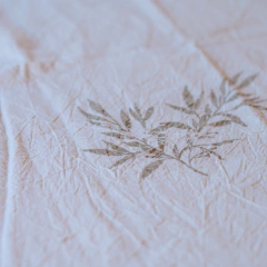 Imagen de Manteles de tusor