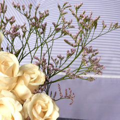 Sábanas Cannon Raya Lilac - La Cortineria Deco