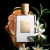 Kilian Paris - Can't Stop Loving You EDP en internet