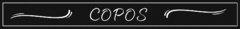 Banner da categoria COPOS