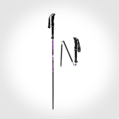 BASTONES Z-COMPACT SE COMPOSITE X2 CARBON / PAR en internet