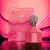 Sophia Al Wataniah 100ml en internet