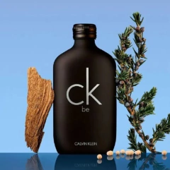 Decante CK Be Calvin Klein Eau de Toilette na internet