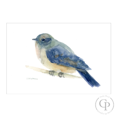 Print Pájaro turquesa