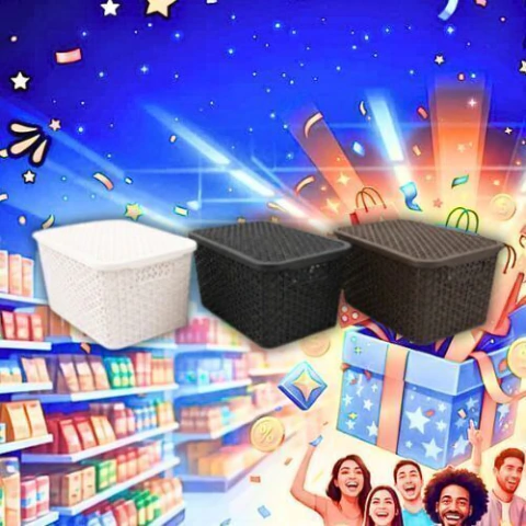 Canasto 28 x 20 x 12 cm Simil Ratan 7 lts con tapa Codigo 16998