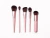 JAZMINE BEAUTY Complexion Essentials Brush Set