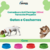 Comedouro Para Gatos e Cachorros Anti Formiga 350ml na internet