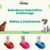 Bebedouro Automático Para Cães E Gatos Antiformiga - MaisCompras.com.br