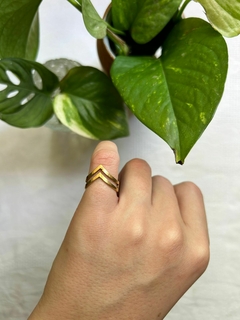 Anillo doble punta