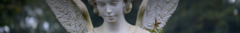 Banner da categoria ANJO DA GUARDA PARA TODOS