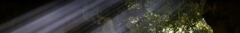 Banner da categoria  PROTEÇÃO DIÁRIA 