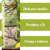 INCENSO NATURAL NIRVANA AROMA CAPIM LIMÃO&GENGIBRE 9 VARETAS - loja online