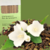 INCENSONATURAL NIRVANA AROMA CHÁ BRANCO E FLOR DE LARANJEIRA - comprar online
