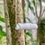Colar com Pingente de Porcelana - Envelope