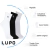 Imagem do Kit 06 Pares Meias Lupo Original Masculina Feminina Unissex Cano Médio Alto Longo Algodão Sport Alta Qualidade Inverno Frio Envio Imediato